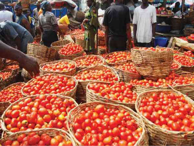 Tomatoes Produce at a Farmers market