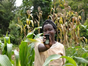 Farmer on Phone