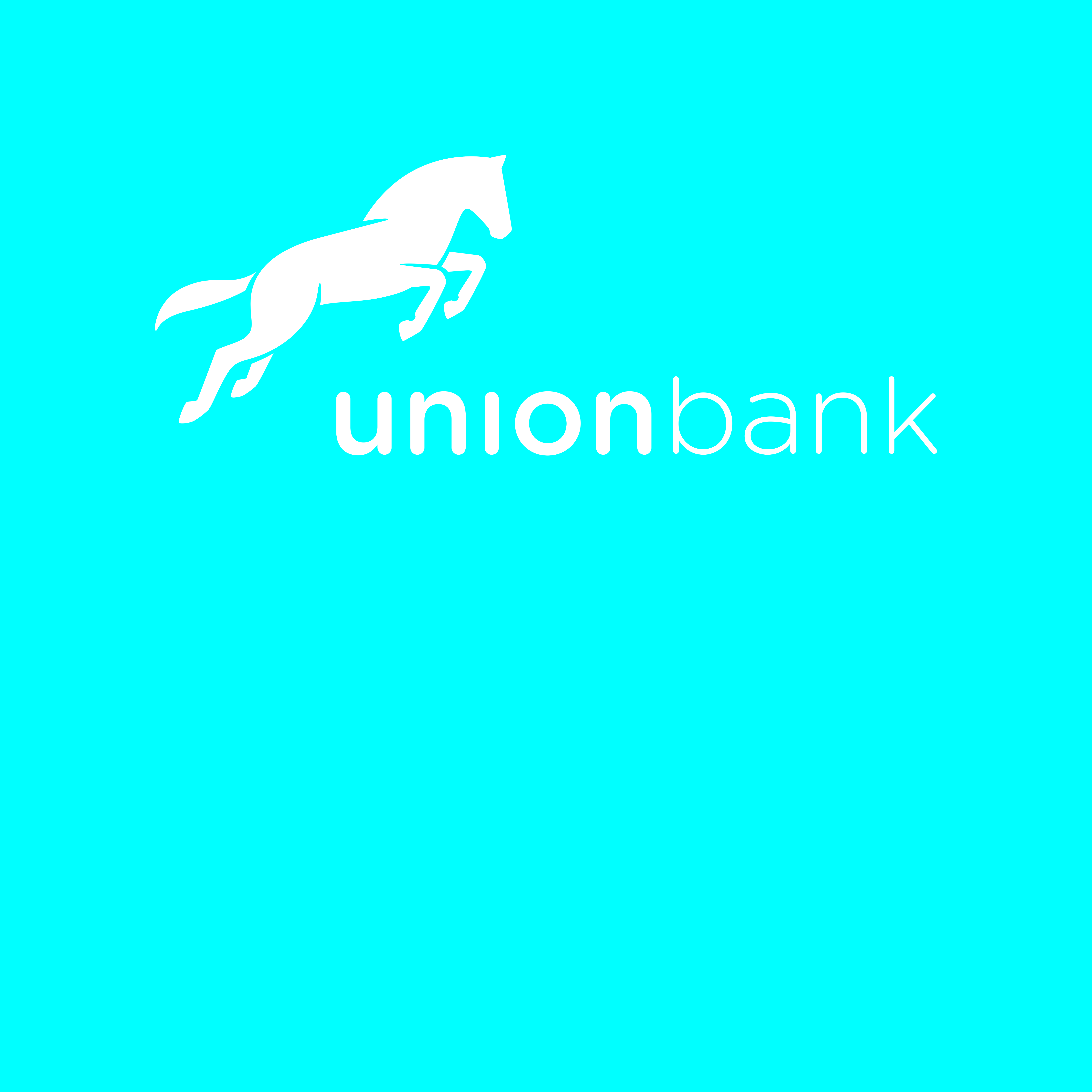Union Bank Finances N4bn Gas Plant Project - Nigeria Business News